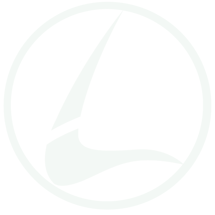LevoroFit Background Logo